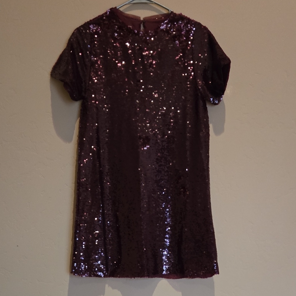 Zara Burgundy Sequin Dress